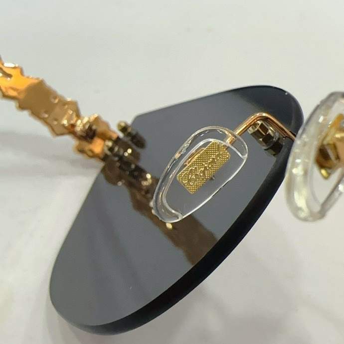 Picture of Chopard Sunglasses _SKUfw61765038fw